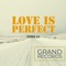 Love Is Perfect artwork