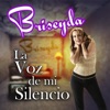 La Voz De Mi Silencio