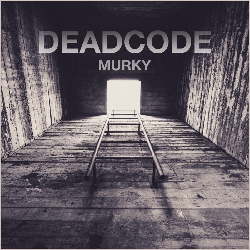 Deadcode client. Картинка Deadcode. Deadcode ава. Deadcode HUD. Target Hood Deadcode.