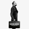 Only Ticket Home - Gavin James
