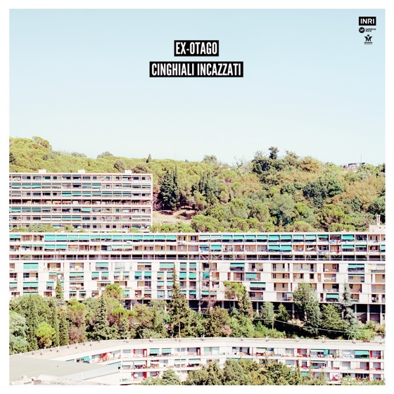 Cover artwork for Cinghiali incazzati
