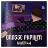Grosse Pupillen - Single album lyrics, reviews, download