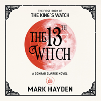 Mark Hayden - The 13th Witch artwork