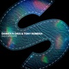 Damien N-Drix & STV - Savoir Faire
