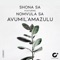 Avumil'Amazulu (feat. Nomvula SA) - Shona SA lyrics