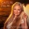I Wanna Fall in Love (feat. Torgny Larsson) - Caitlin Palm lyrics