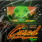 Cried (Cover Version) artwork