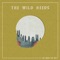 Everything Looks Better (In Hindsight) - The Wild Reeds lyrics