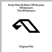 The Whiteroom (Extended Mix) artwork