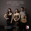 Simon Thielke - Sonata for Violin & Guitar, Op. 8 No. 2: I. Allegro