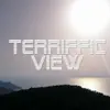 Terrific View (Demo Version) - Single album lyrics, reviews, download