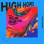 High Hopes (feat. sad alex & DUCKWRTH) artwork