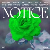 Notice (Jael Remix) artwork