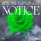 Notice (Jael Remix) artwork