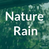 Nature Rain - EP artwork