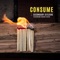 Consume (feat. Haven Yates) artwork