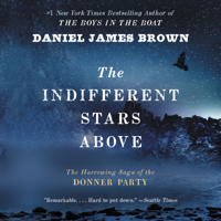 Daniel James Brown - The Indifferent Stars Above artwork