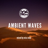 Ambient Waves (DJ Mix) artwork