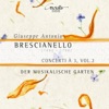 Brescianello: Concerti à 3, Vol. 2