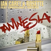 Amnesia (feat. Timbaland & Brasco) artwork