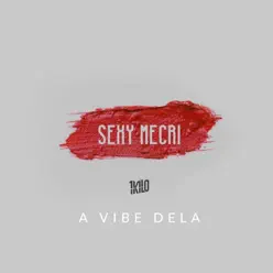 A Vibe Dela (feat. Pablo Martins, Cachola, Sandro & Negro Chomps) - Single - 1Kilo A Vibe Dela (feat. Pablo Martins, Cachola, Sandro & Negro Chomps) - Single - 1Kilo