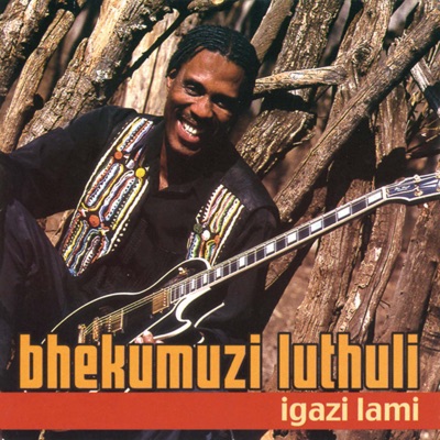 Endumisweni - Bhekumuzi Luthuli | Shazam