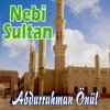 Nebi Sultan