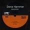 INka - Steve Hammer lyrics