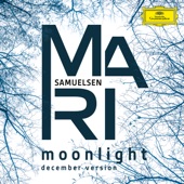 Moonlight (December Version) artwork