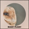 Mikael Manvelyan - Night Flight