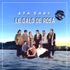 Le Galo oe Rosa