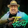 Te Gusta - Single album lyrics, reviews, download