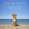 Calm Dog