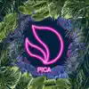 Stream & download Pica - Single