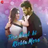 Tere Naal Ki Rishta Mera song lyrics