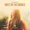 Meet in the Middle (feat. Haley) [The Remixes] - EP album lyrics, reviews, download