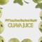 Guava Juice (feat. Stupid) - PYY Log Drum King lyrics
