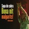 Camins (En Directe) - Sopa De Cabra lyrics