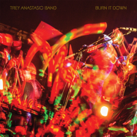 Trey Anastasio - Burn It Down (Live) artwork