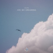 Are We Dreaming artwork