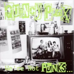 We're Not Punx... But We Play Them On TV by Quincy Punx album reviews, ratings, credits