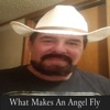 What Makes an Angel Fly - Single