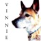 Vinnie - Calm Dog Music lyrics