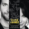 Silver Linings Playbook (Original Motion Picture Soundtrack) - Various Artists