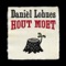 As Iederien Nou Zo Was Zoas Wij Mussen Wezen - Daniël Lohues lyrics