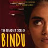 The Miseducation of Bindu (Original Motion Picture Soundtrack) artwork
