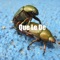 Que Le De (feat. Guaynaa) artwork