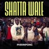 Shatta Wale - Single