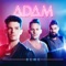 Say What You Want (feat. Daniel Baron) - ADAM lyrics