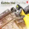 Kehta Hai Pal Pal - Single album lyrics, reviews, download